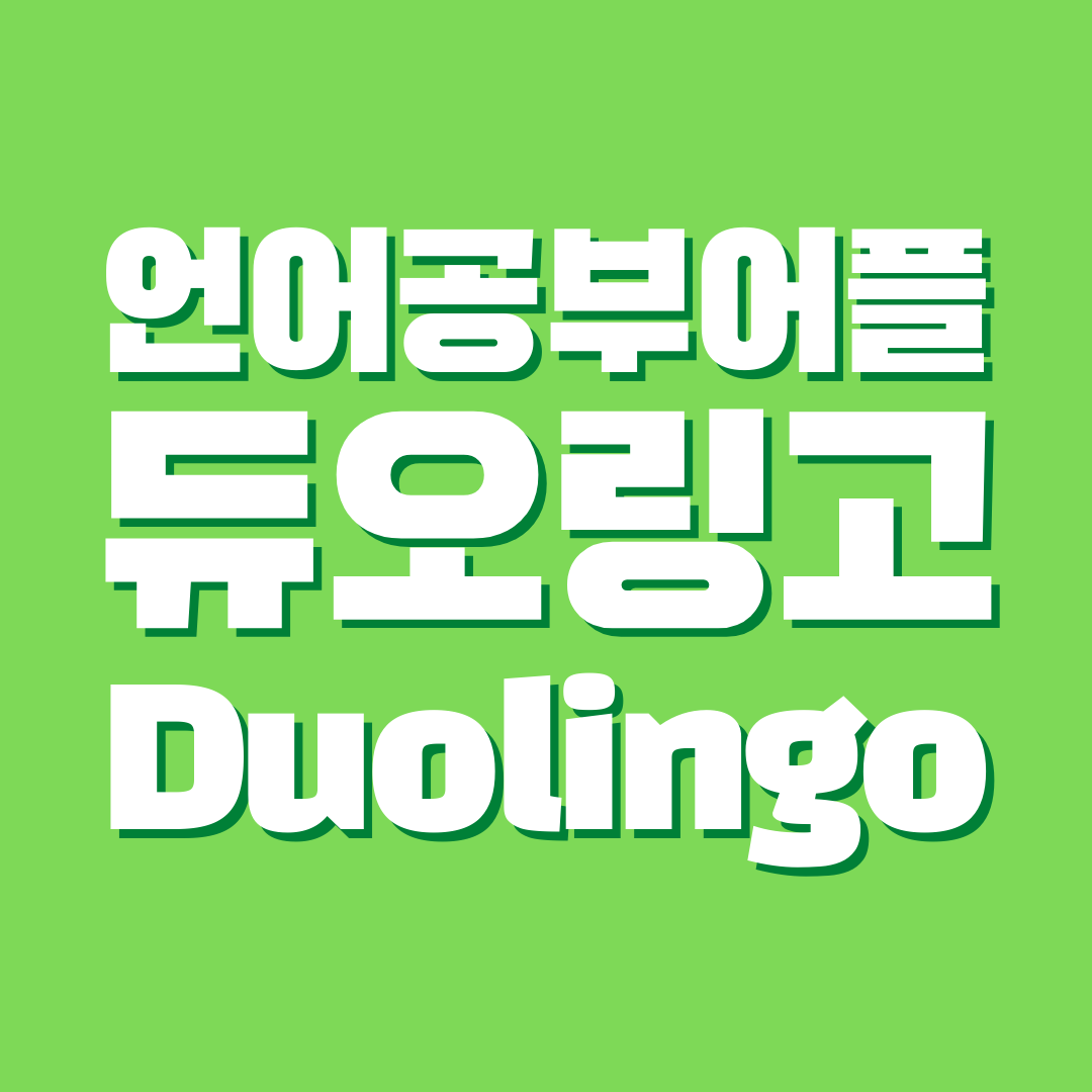  언어교육어플 듀오링고