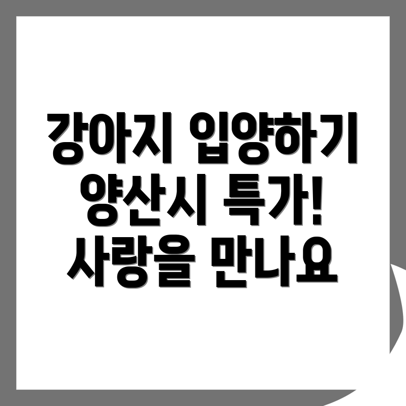 강아지 입양