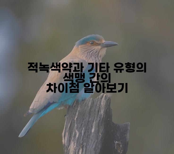 적녹색약과 기타 유형의 색맹 간의 차이점 알아보기