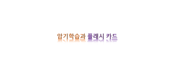  암기 학습과 플래시 카드 활용