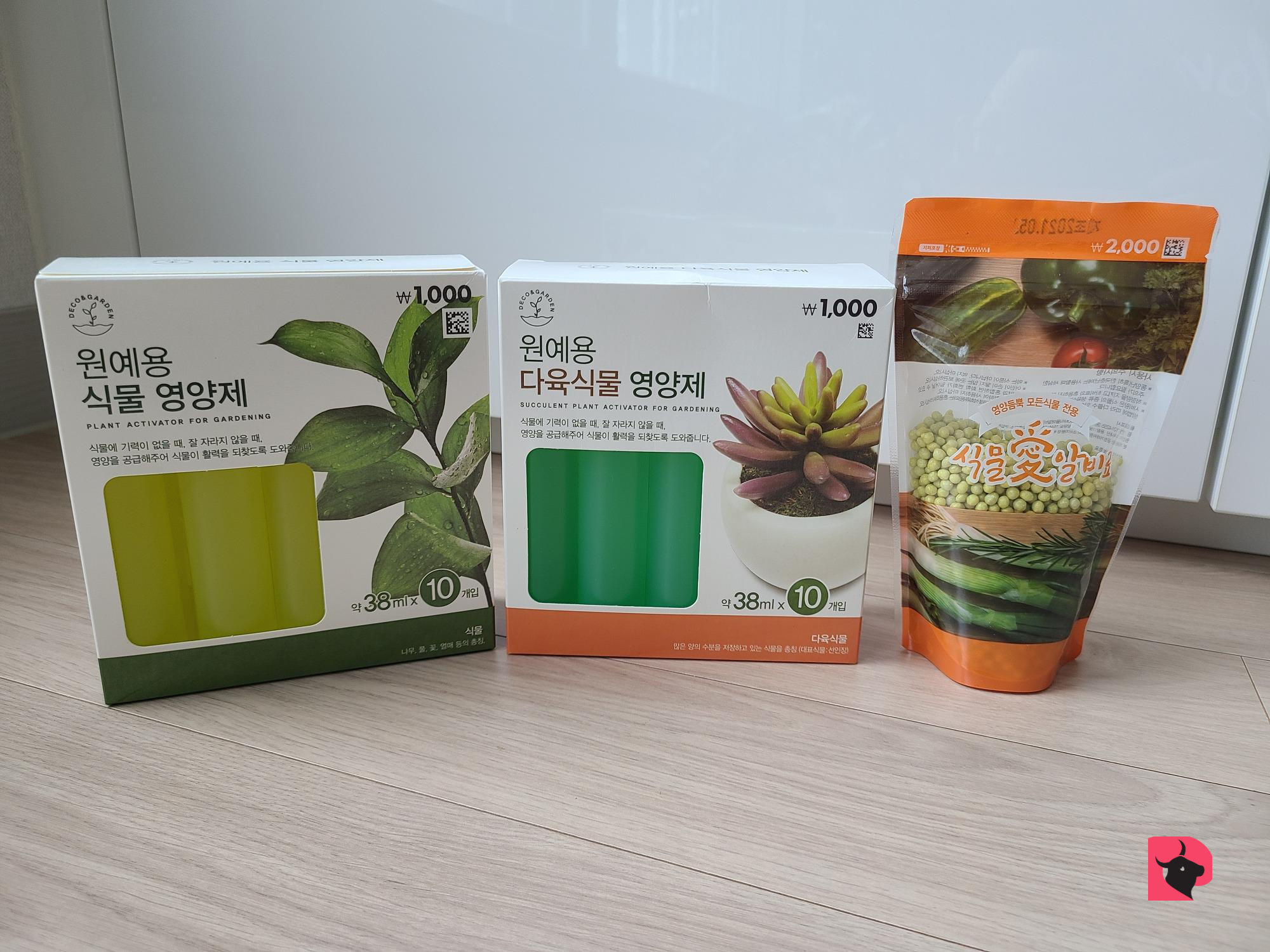  다이소 식물영양제 열매알비료 화초영양제 다육식물영양제 가격 종류  사용 효과 추천 후기