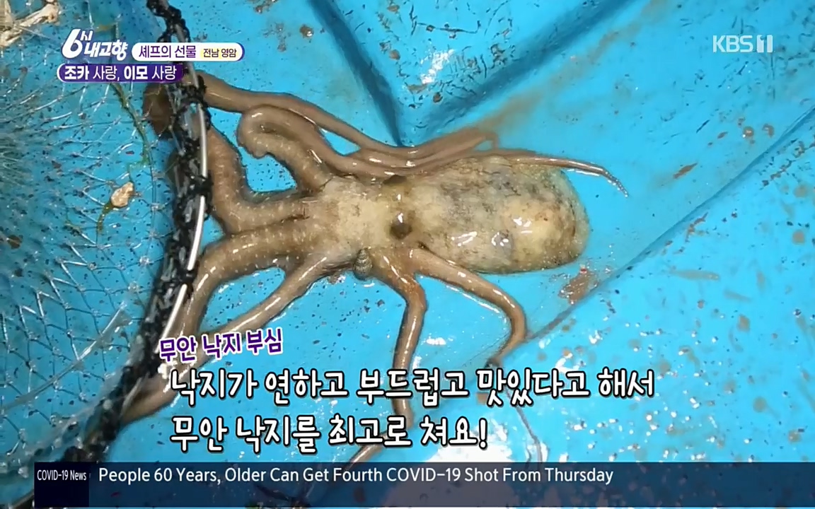 6시 내고향.E7512.220416p.H264-F1RST.mp4_20220502_193723.361.jpg