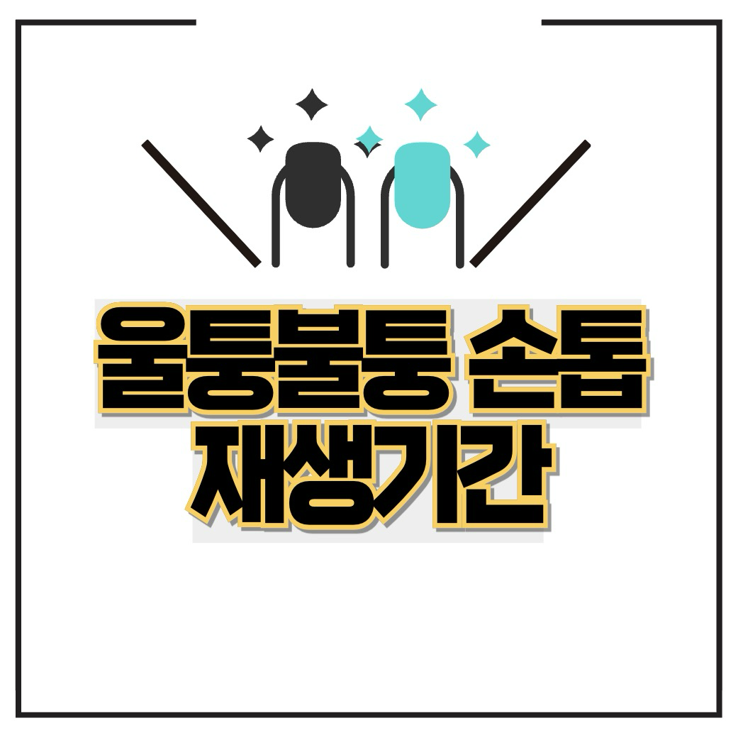 손톱 재생기간