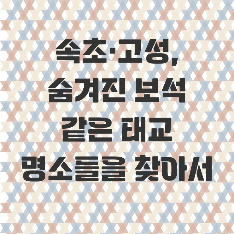속초고성태교여행_1