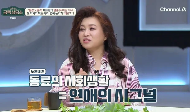 금쪽상담소 배도환