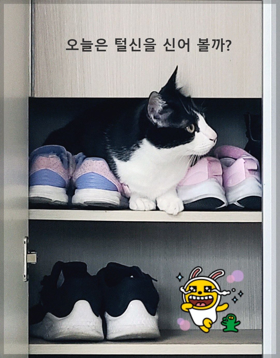  티스토리 이미지 편집