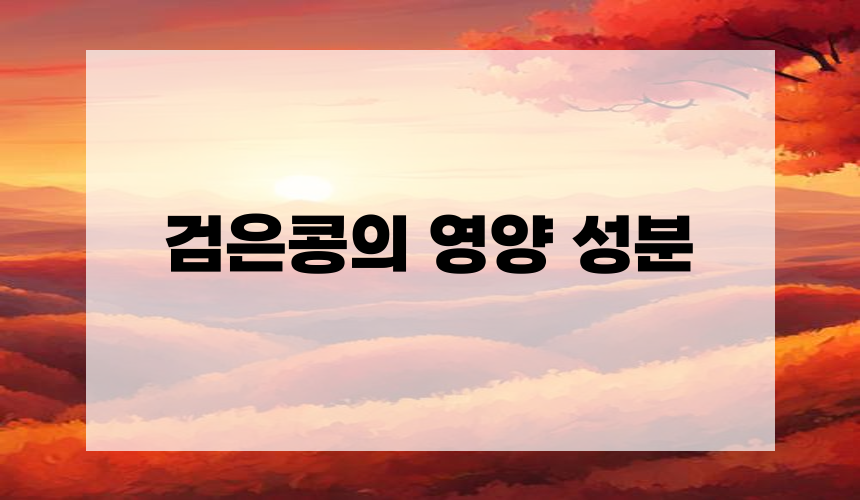 검은콩의 영양 성분