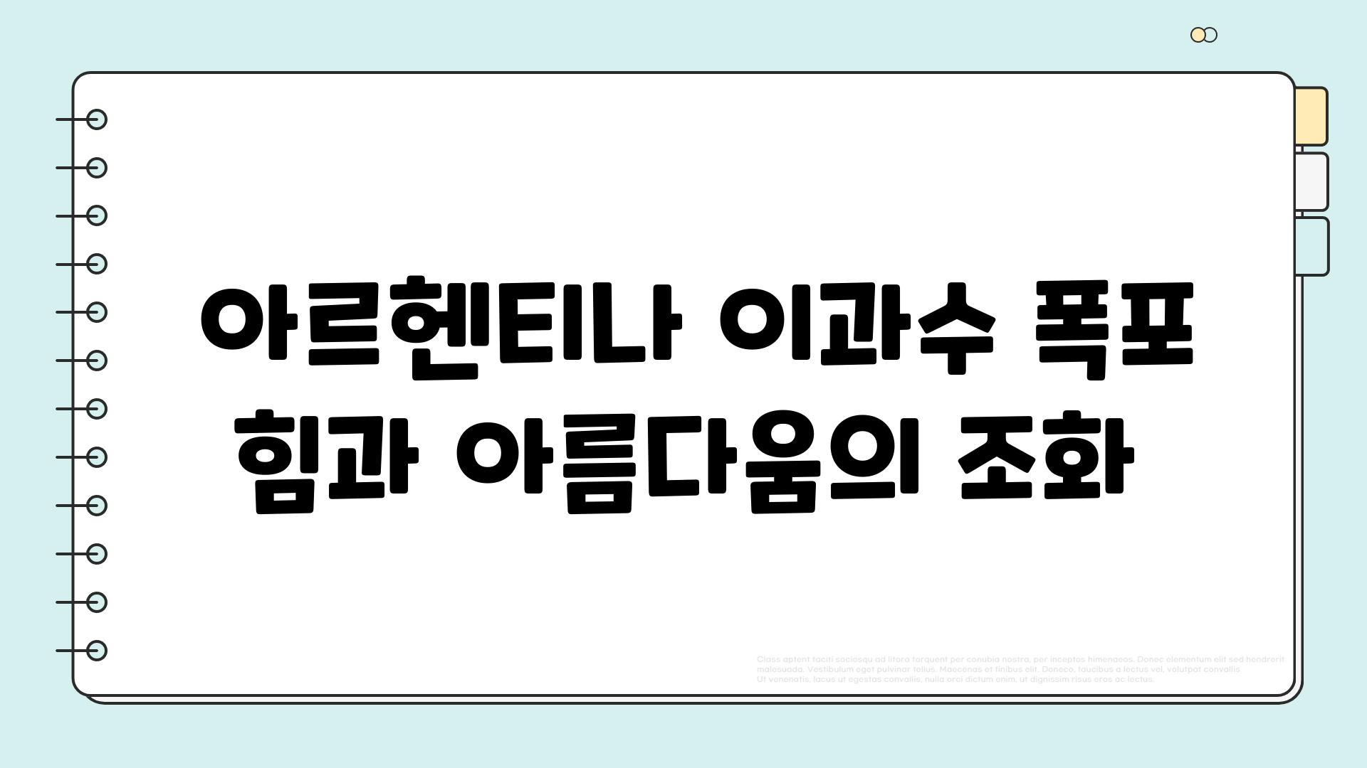  아르헨티나 이과수 폭포 힘과 아름다움의 조화