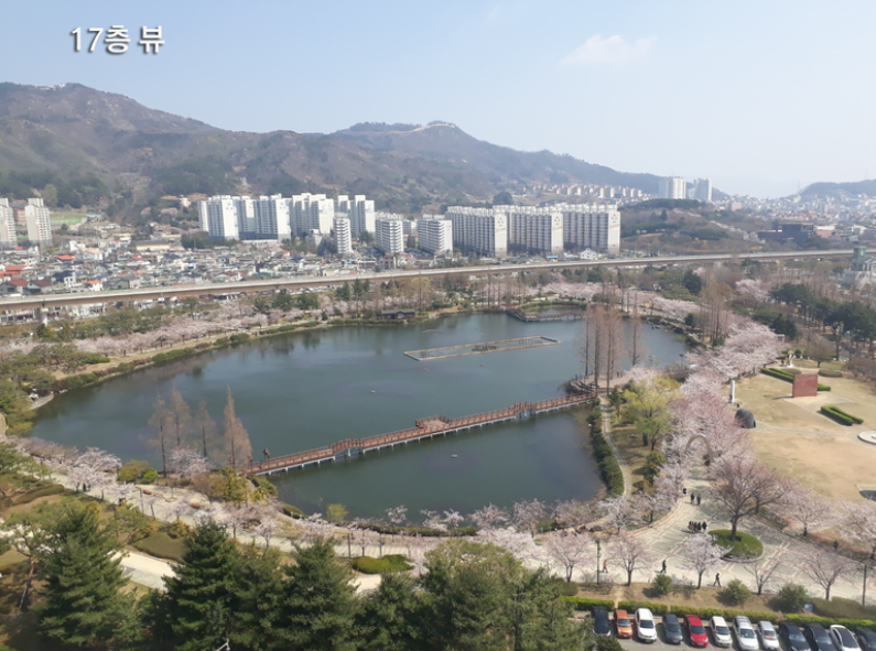  창원 롯데맨션 추이 (2020년 12월 6일 일요일)