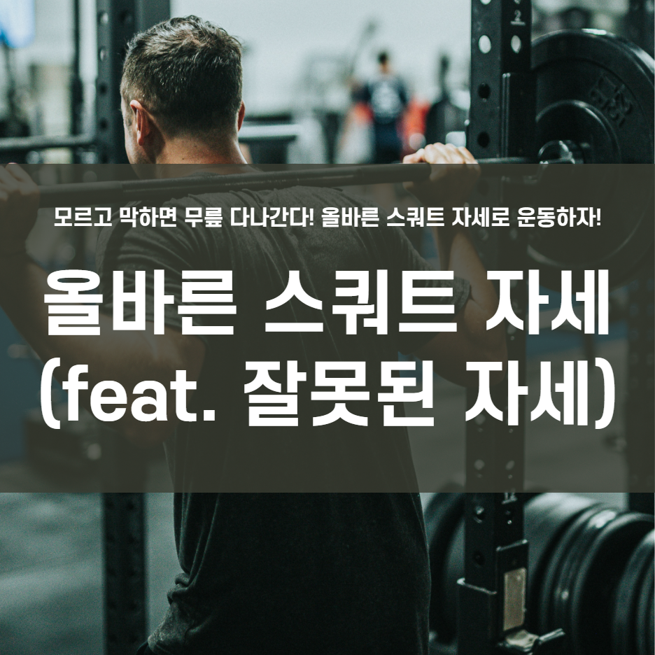  올바른 스쿼트 자세! 모르고 하면 무릎 통증 발생한다!!