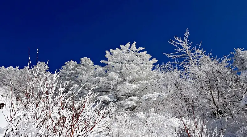 지리산 설경 상고대