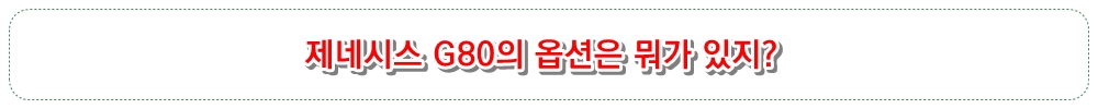 제네시스 G80의 옵션은 뭐가 있지?