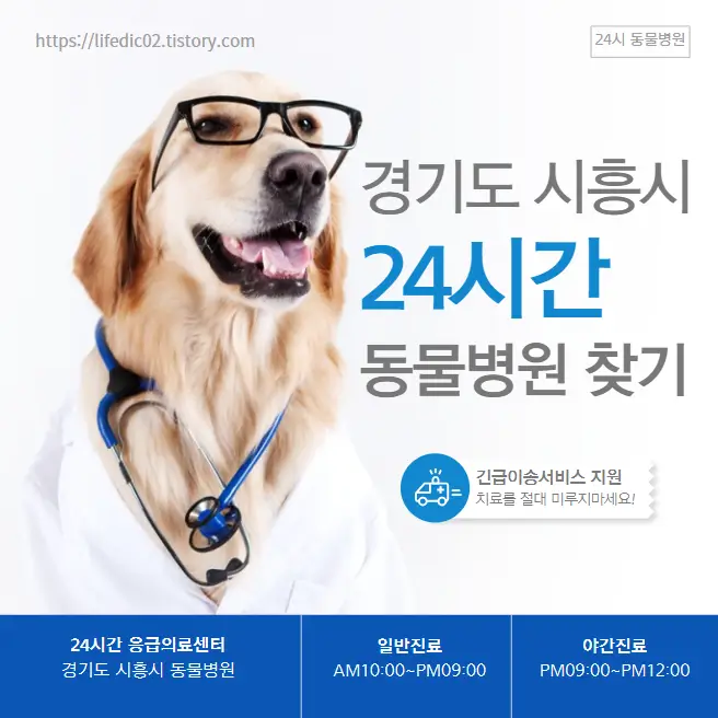  시흥시 24시간 동물병원 근처 야간 일요일 강아지 병원 찾기