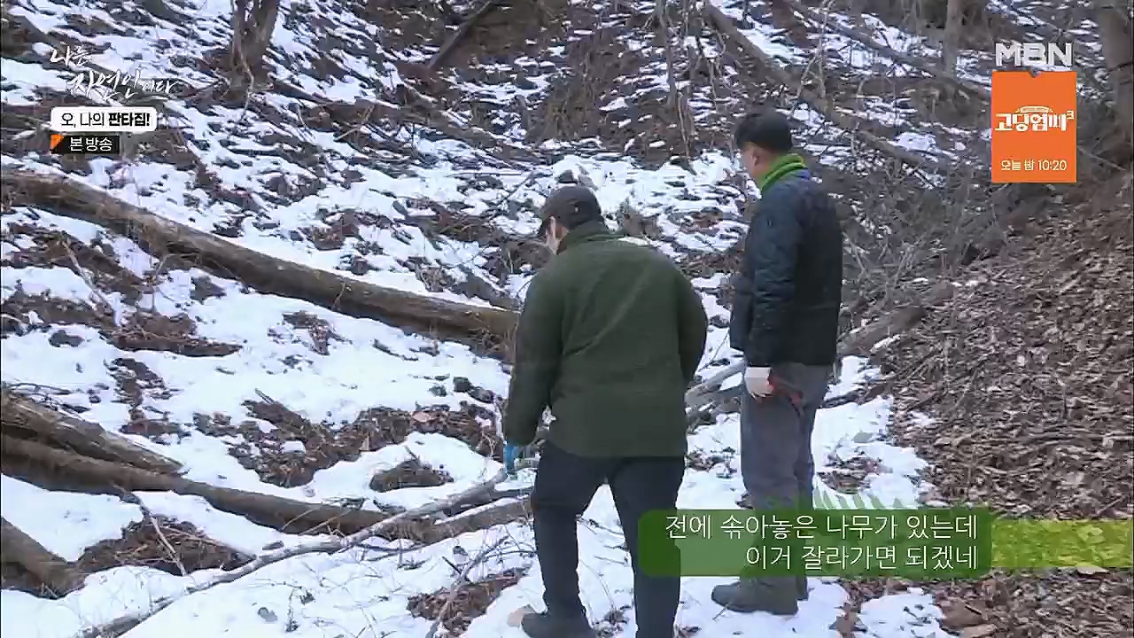 나는 자연인이다.E546.230323p.H264-F1RST.mp4_20230323_201539.569.jpg