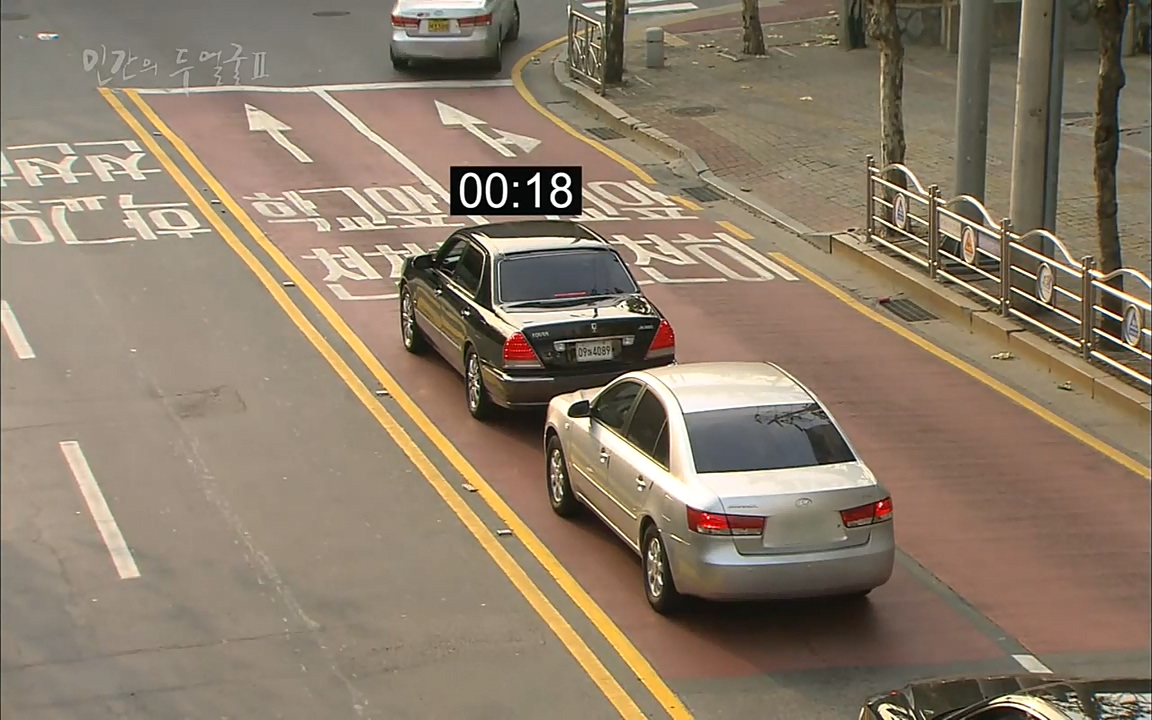 EBS 다큐프라임 - Docuprime, 인간의 두 얼굴2 제2부 아름다운 세상.mp4_20220608_205326.297.jpg