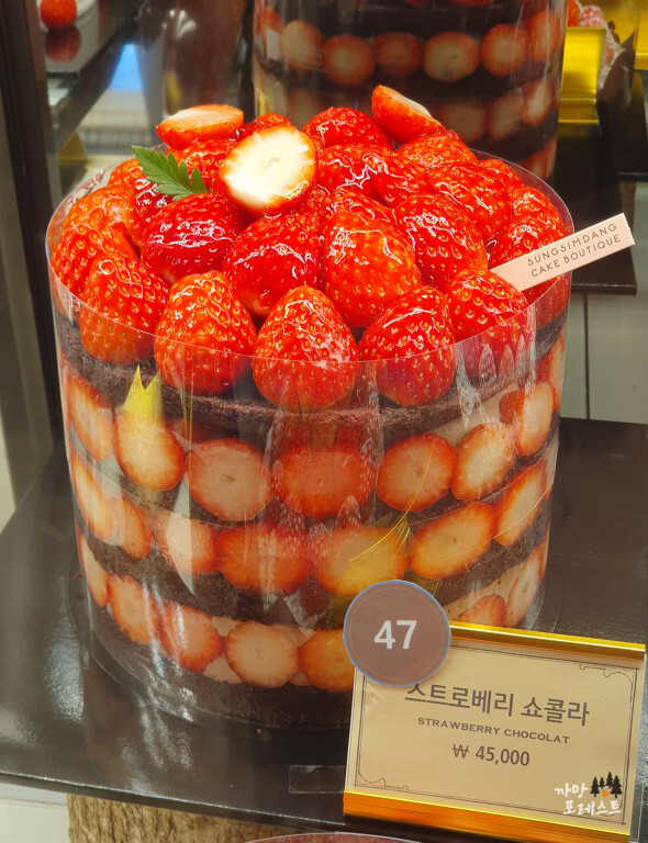 성심당 케잌 부띠끄 케이크