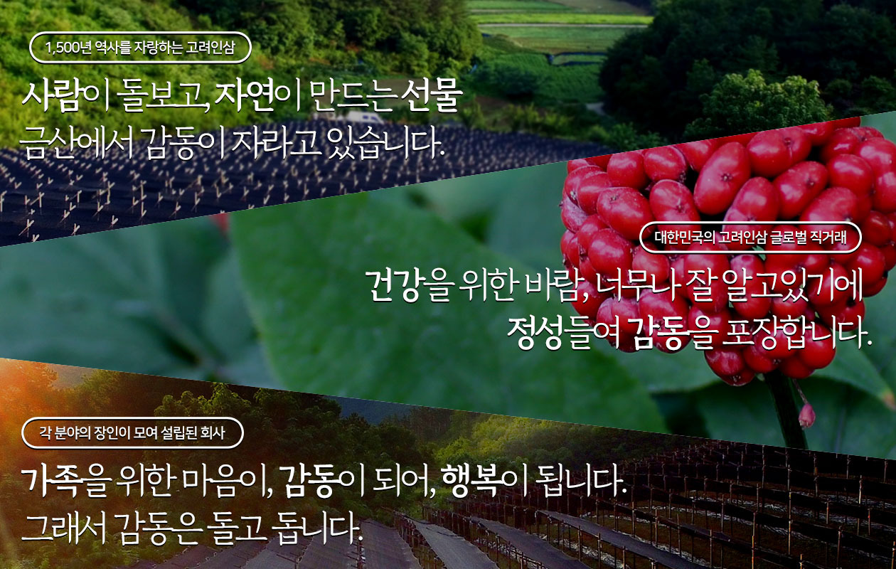 굿데이유통 이미지
