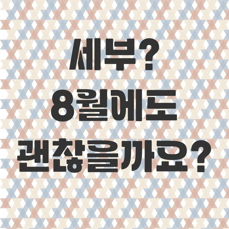 8월 세부 여행_1