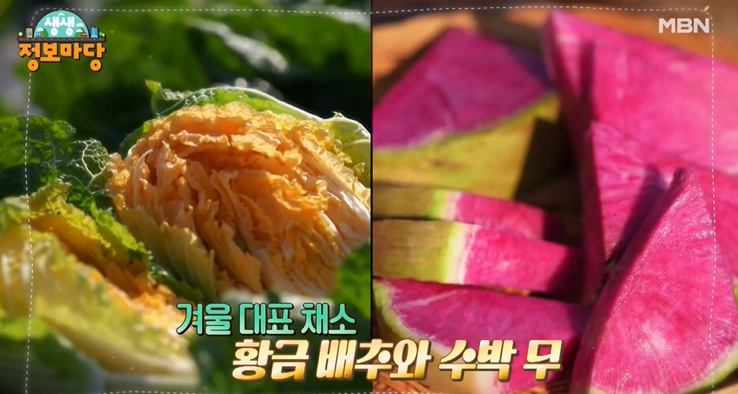 선영밥상 황금배추 수박무 파는 곳 전국 택배 온라인 주문 평택 추천