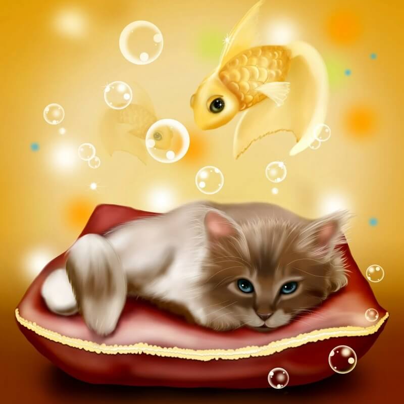 물고기를 잡는 상상을 하는 고양이 그림