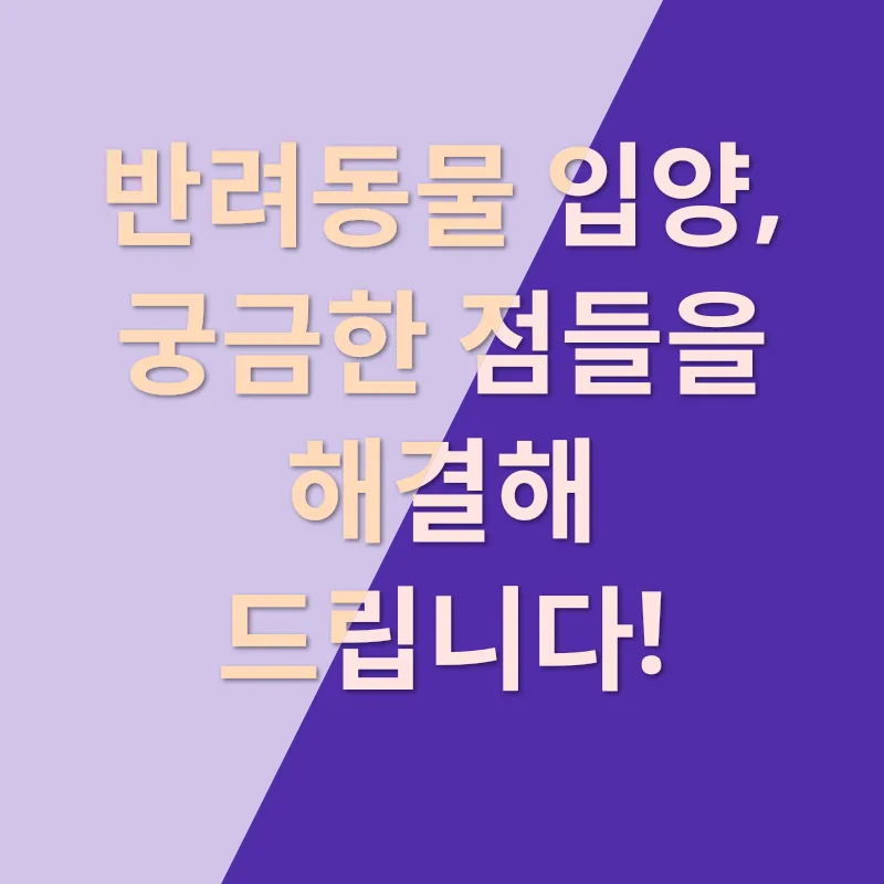 반려동물 입양_4