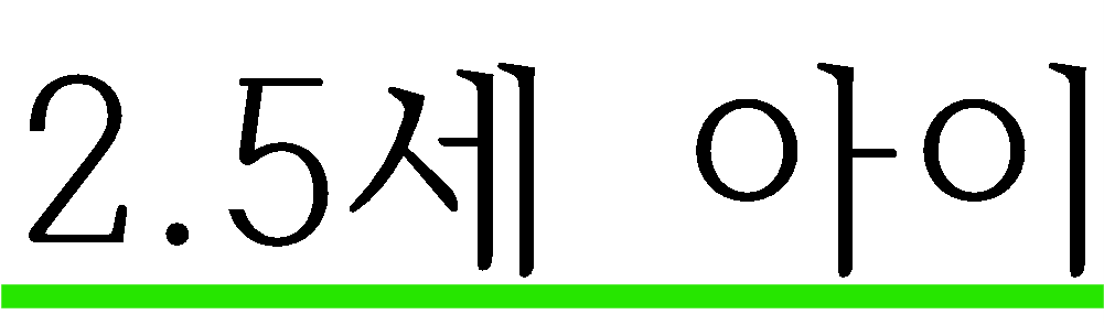 2.5세 아이