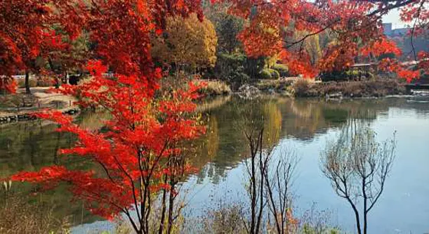 서운동산