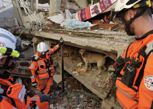 img https://mobilityground.com/wp-content/uploads/2024/08/사진자료_디펜더-영국-적십자와의-인도주의적-자선-파트너십-70주년-맞아-1.jpg