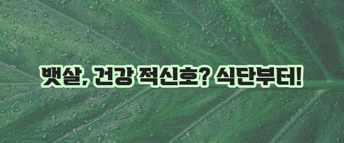 내장지방 빼는 음식 꼭 알아야 합니다!