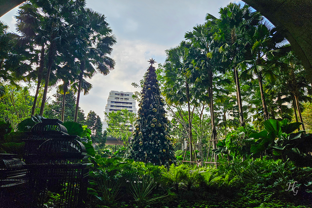 태국 방콕 씬톤 켐핀스키 호텔 Bangkok Sindhorn Kempinski Hotel 정원 크리스마스 트리