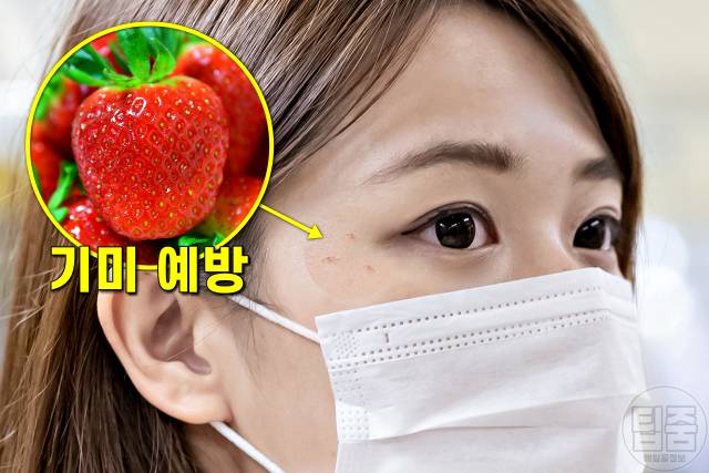 딸기 효능,장내 미생물 다이어트,기미 점 없애는법