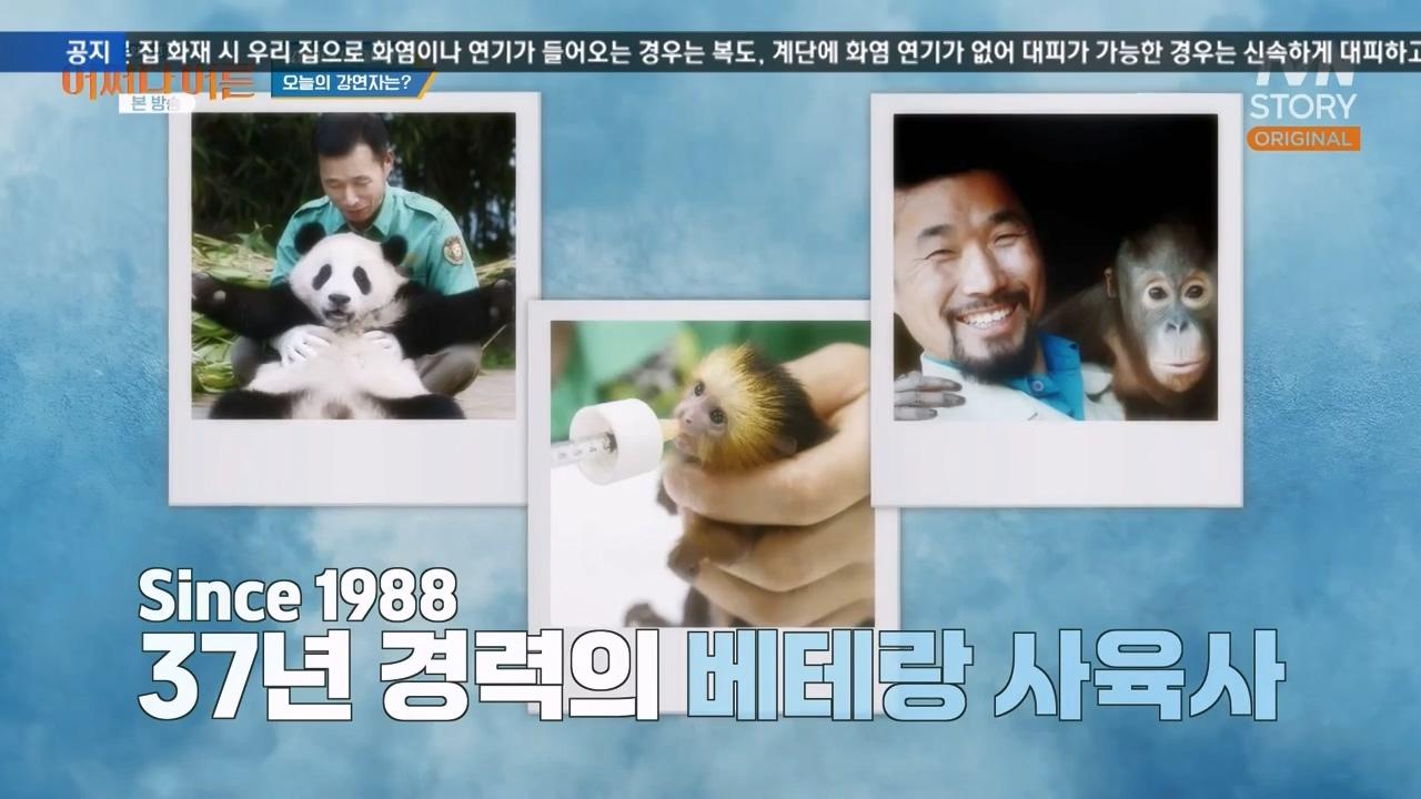 어쩌다 어른.E41.240131p-NEXT.mp4_20240201_200224.670.jpg