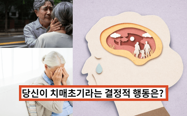  치매 테스트 방법과 기억력 개선에 좋은 식품