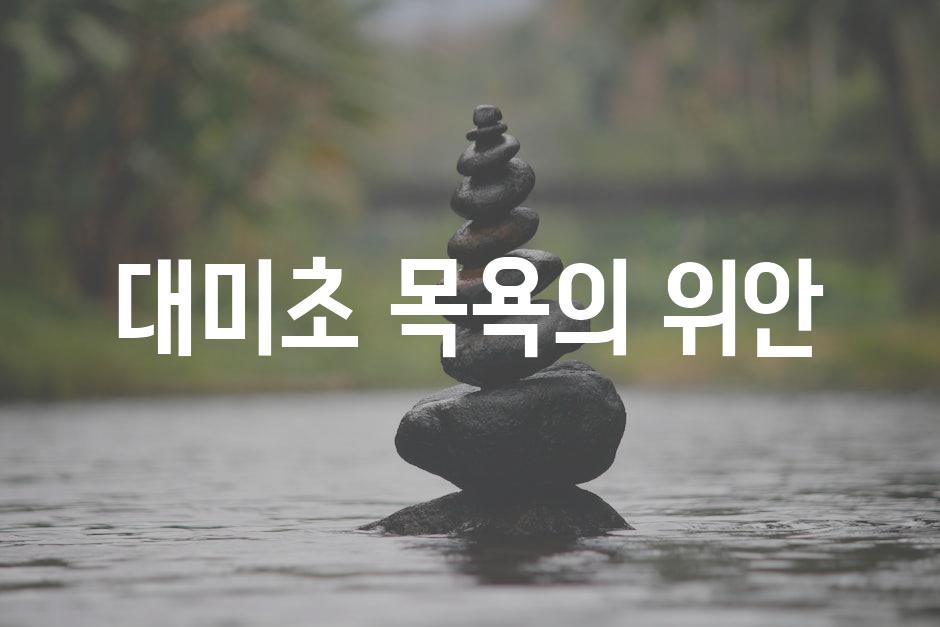 대미초 목욕의 위안