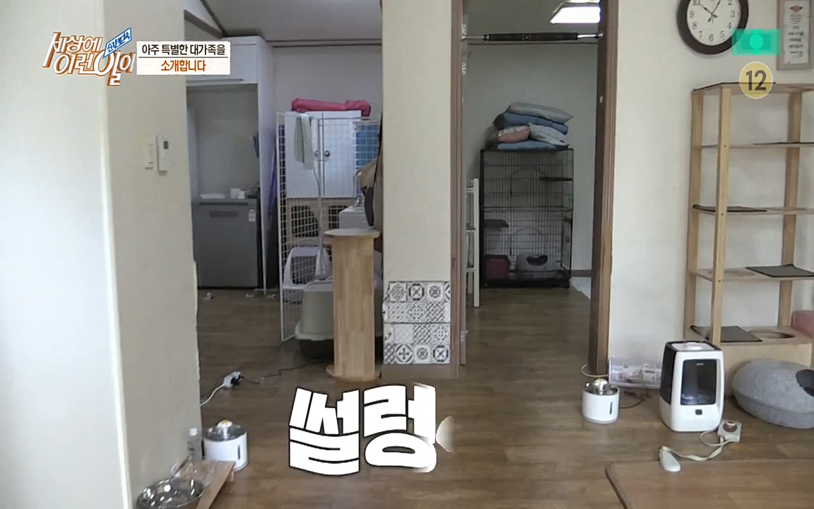 순간포착 세상에 이런일이.E1173.220330p-NEXT.mp4_20220330_174758.311.jpg