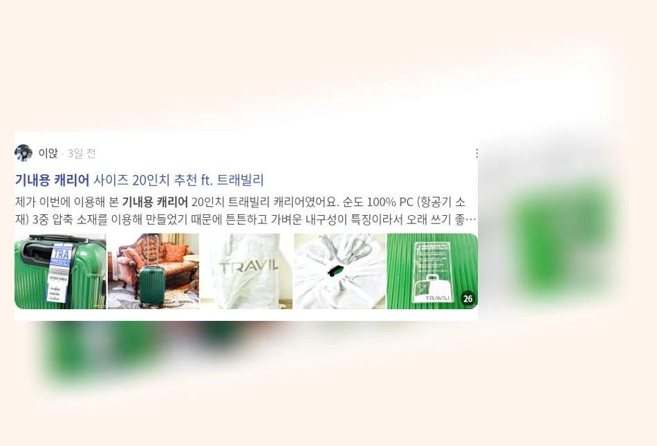 기내용 캐리어_3_subsection
