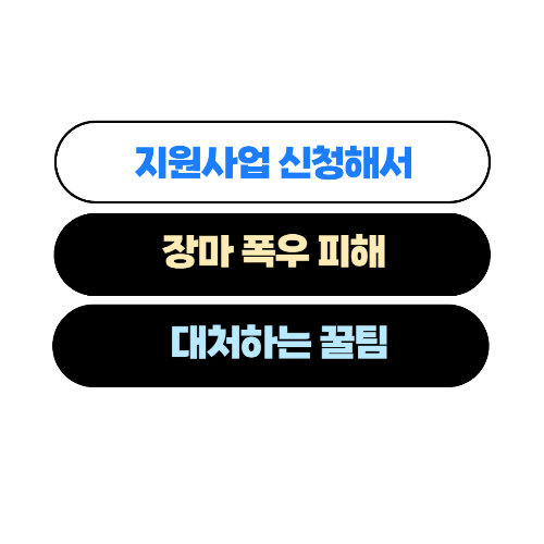  장마 (폭우) 피해를 대처 하는 꿀팁