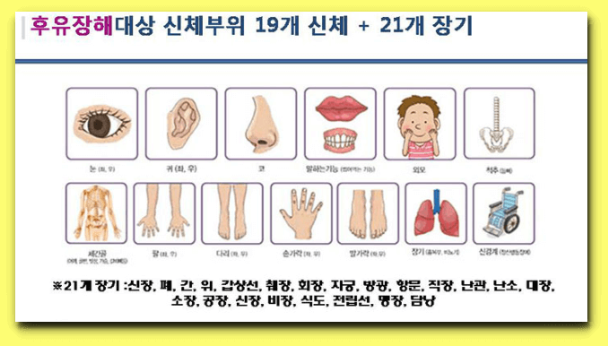 장해의-해당-부위