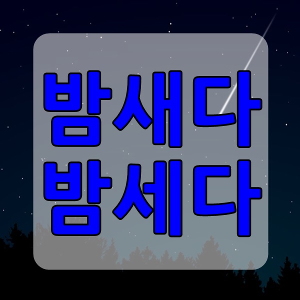  밤새다 밤세다 맞는말은 바로이거