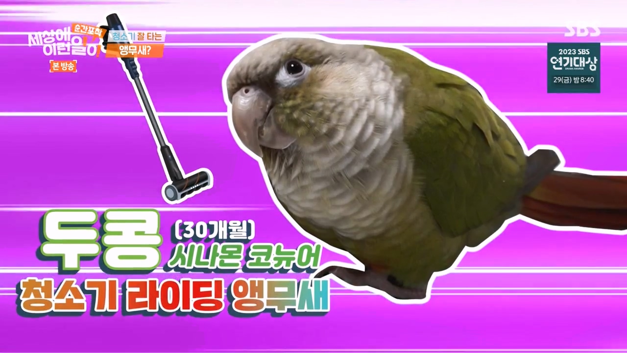 순간포착 세상에 이런일이.E1256.231217p-NEXT.mp4_20231217_172828.326.jpg