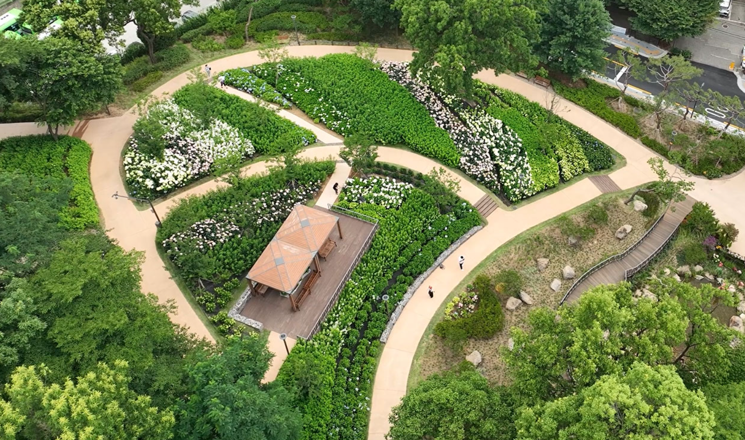 choansan-hydrangea-garden