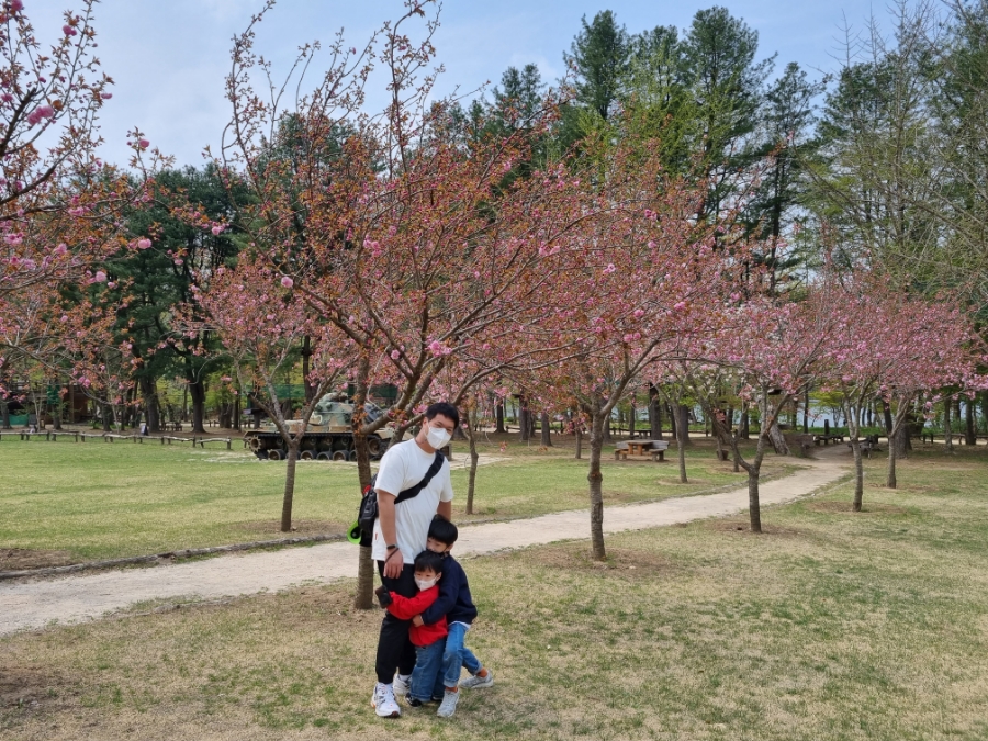 남이섬 배시간표 남이섬 배시간표, 할인 방법, 92