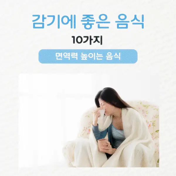 감기에 좋은 음식
