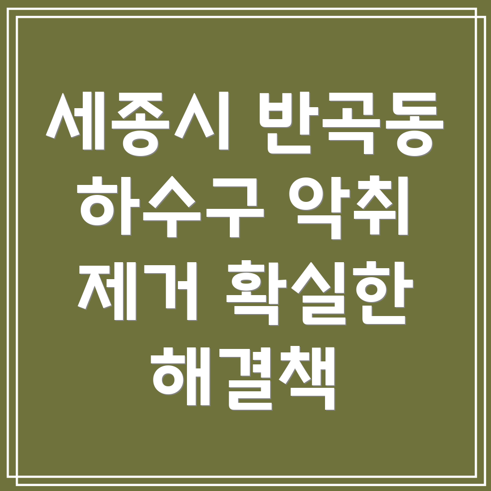 세종시 하수구 악취