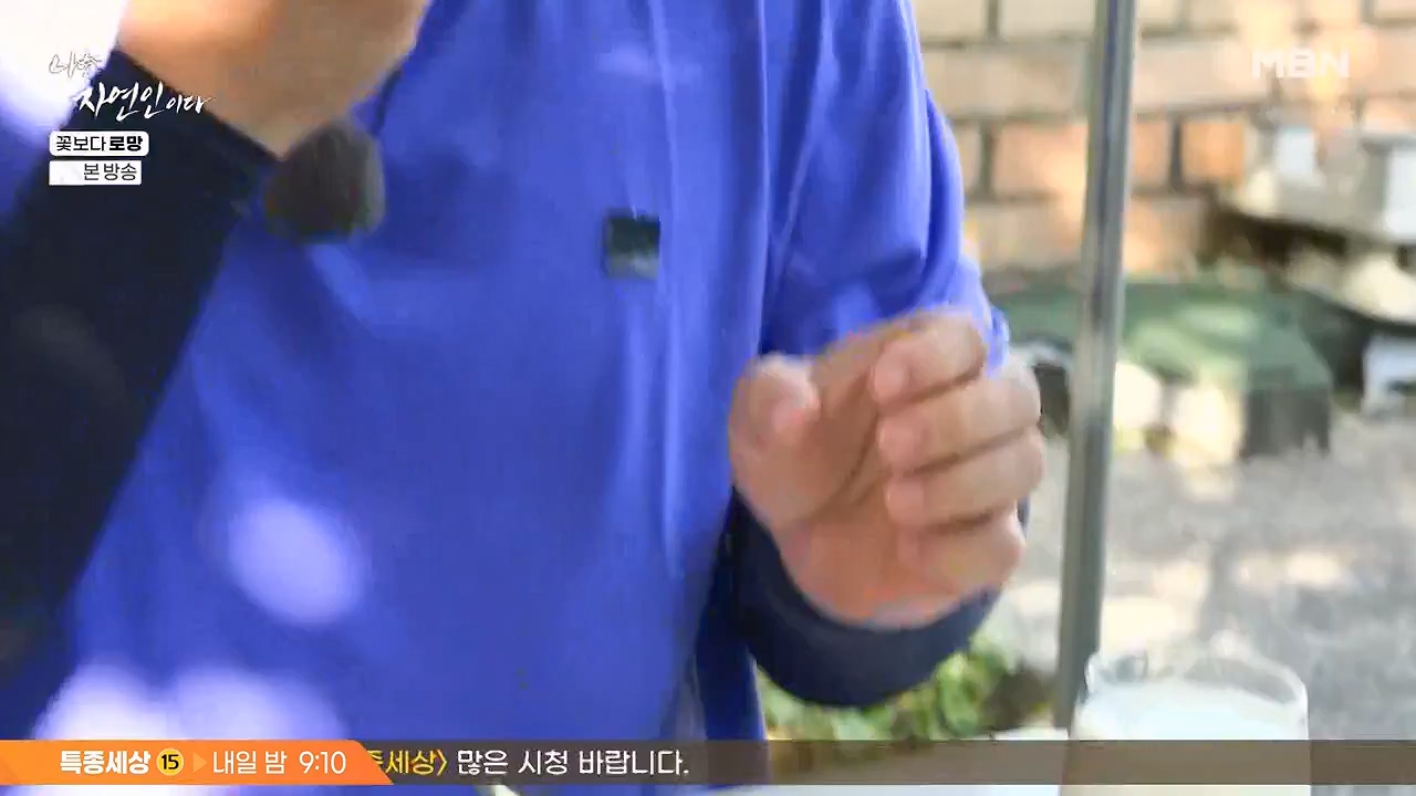 나는 자연인이다.E608.240606p-NEXT.mp4_20240606_164052.513.jpg