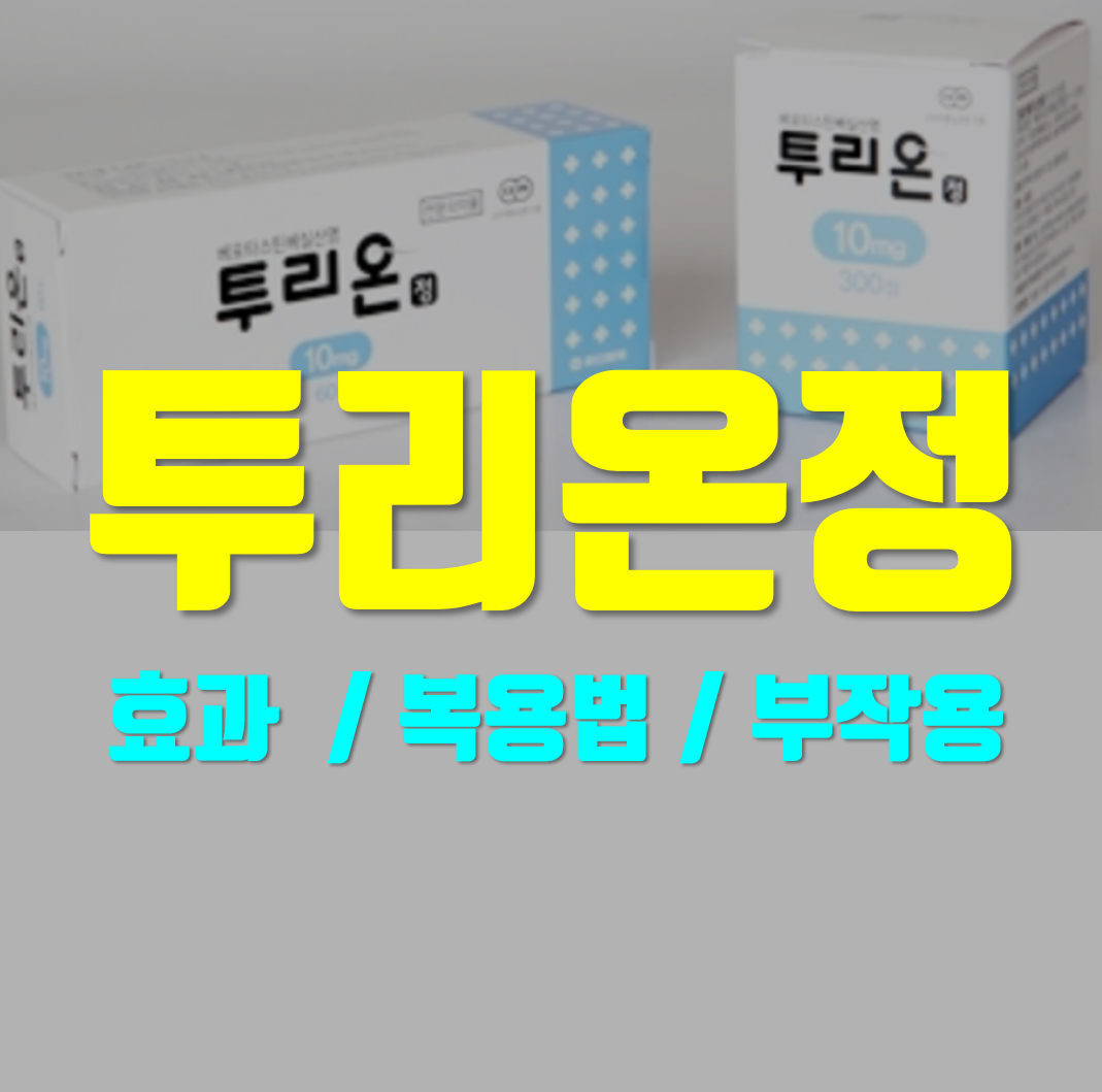  투리온정 의약품 정보 알아봅시다!