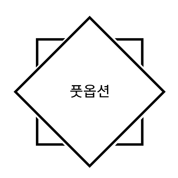  풋옵션이란?