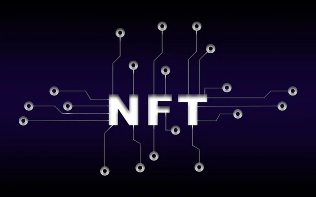 NFT 투자, 거품인가 기회인가?