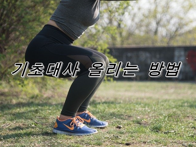  기초대사 올리는 방법이란?지방을 효율적으로 연소할 수 있는 살을 빼기 쉬운 신체 만드는 방법