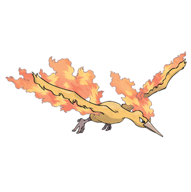  [포켓몬도감]  No. 146 파이어 Moltres #146